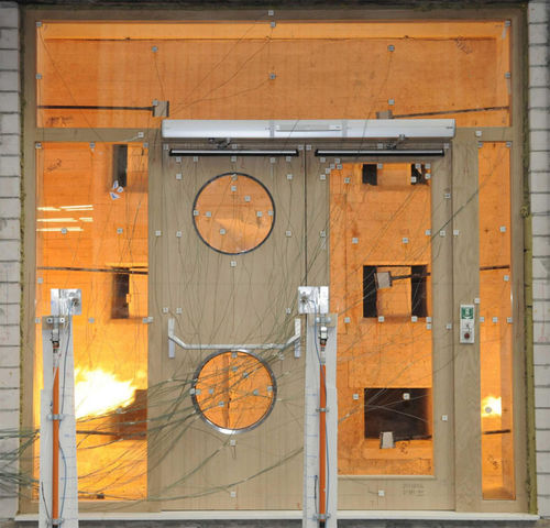 Porta di protezione contro gli incendi - DOORS, d.o.o. - d'ingresso / in legno / in alluminio