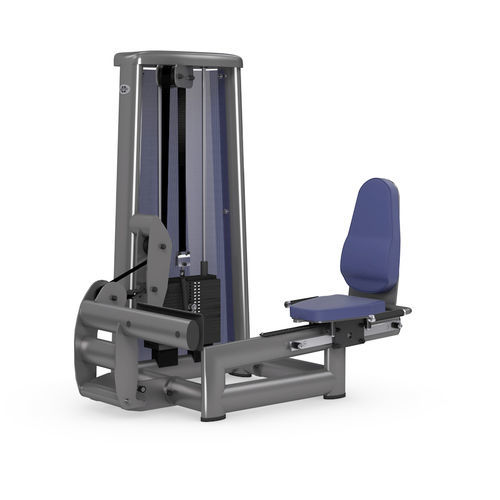 Attrezzo per bodybuilding schiena - 3027 - gym80 International GmbH - polpaccio / da interno / contract