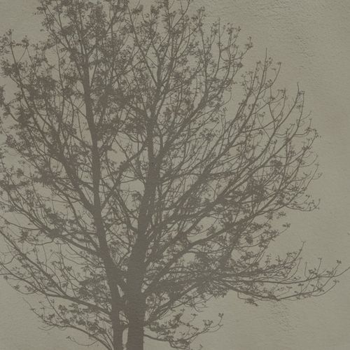 Carta da parati contemporanea - A Tree - SPAGHETTIWALL - in fibra di cellulosa / in tessuto non tessuto / con motivi naturali