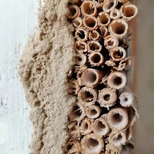 Intonaco da interno - Terraforma® - Ziegelei Götz - da esterno / per cartongesso / all'argilla