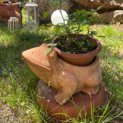 Portavaso in terracotta - Rana Aperta - cestenoli srl