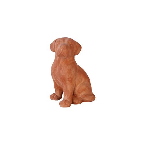 Scultura in terracotta - Cane Labrador - cestenoli srl - da esterno / fatta a mano / da giardino