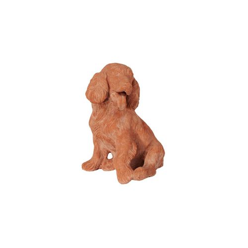 Scultura in terracotta - Cane Cocker - cestenoli srl - da esterno / fatta a mano / da giardino