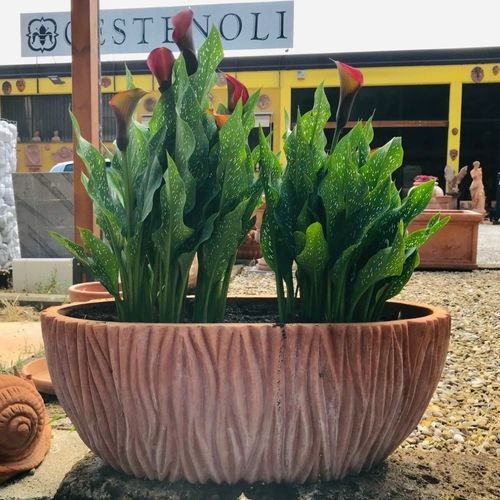 Fioriera in terracotta - Lavorato  - cestenoli srl - ovale / fatta a mano / contemporanea