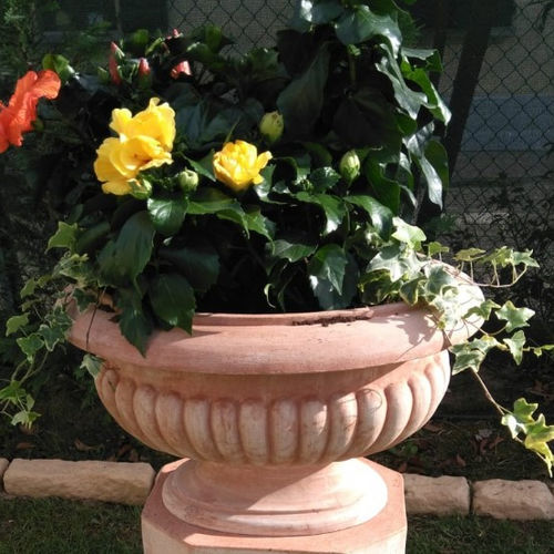 Fioriera in terracotta - Calice Ovale - cestenoli srl - ovale / fatta a mano / classica
