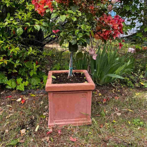Vaso da giardino in terracotta - Cubo Liscio Impruneta - cestenoli srl - quadrato / per uso residenziale
