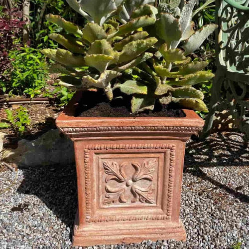 Vaso da giardino in terracotta - lavorato - cestenoli srl - quadrato / per uso residenziale