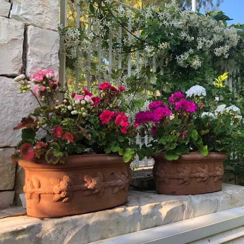 Fioriera in terracotta - con frutta - cestenoli srl - ovale / fatta a mano / classica