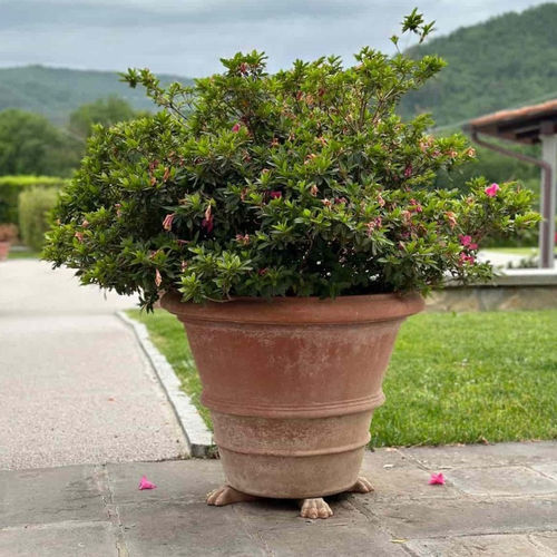 Vaso da giardino in terracotta - Liscio Impruneta - cestenoli srl - rotondo / per uso residenziale