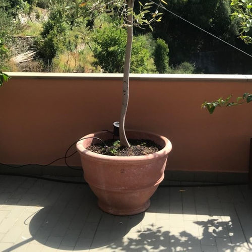 Vaso da giardino in terracotta - con Piede Largo - cestenoli srl - rotondo / per uso residenziale