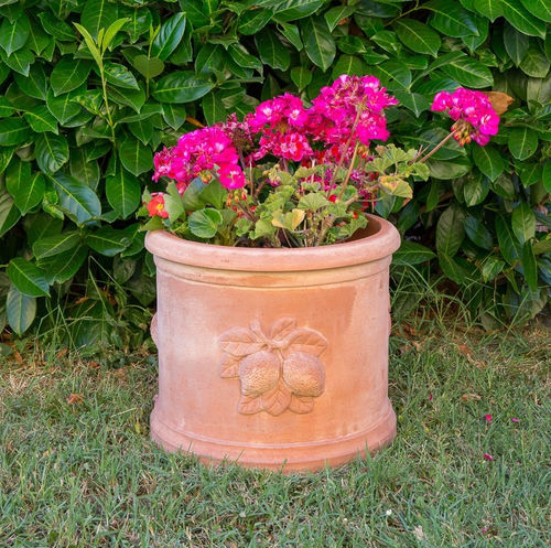 Vaso da giardino in terracotta - con Limoni - cestenoli srl - cilindrico / per uso residenziale