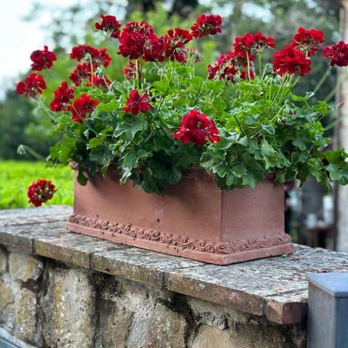 Fioriera in terracotta - con Decorazione Greca - cestenoli srl - rettangolare / fatta a mano / classica