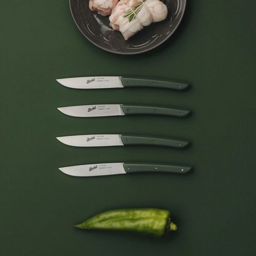 Coltello da bistecca con manico in plastica - COLOR SET OF 4 GREEN - Berkel - con lama in acciaio inossidabile