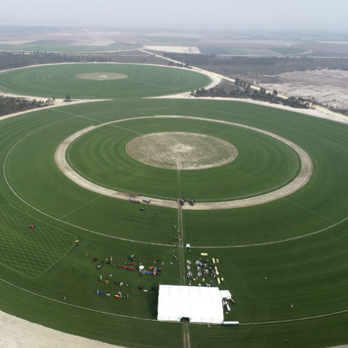 Prato naturale - Zoysia Lazer - Novogreen - in rotoli / per campo sportivo / per progettazione paesaggistica
