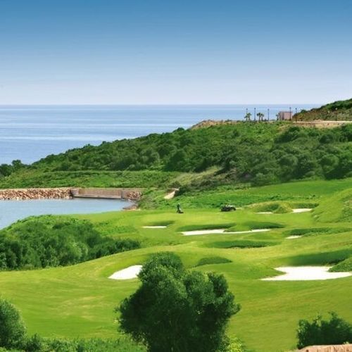 Prato naturale - Bermuda Latitude36 - Novogreen - in rotoli / per campo sportivo / per giardino