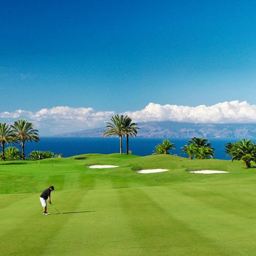 Prato naturale - Paspalum PlatinumTE - Novogreen - in rotoli / per spazio pubblico / per giardino