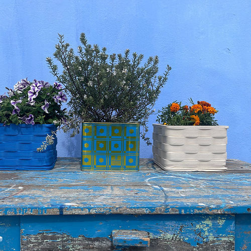 Fioriera per orto in plastica - GERANI - THE NEW TENEKES SMALL - BlueCycle - per uso residenziale / da laboratorio / da giardino