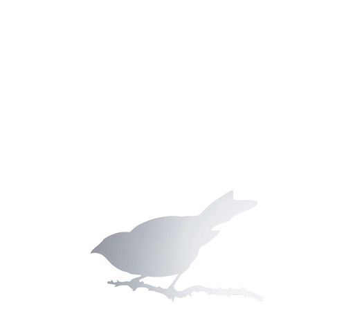Specchio a muro - SNIJDER BIRD - DRIADE - contemporaneo / in acciaio inossidabile lucido / argentato