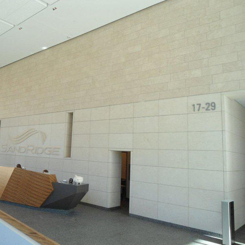 Paramento in pietra naturale - Stone panels - indoor / finitura naturale / decorativo