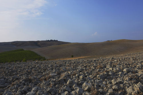 Poster - TOSCANA - INSILVIS