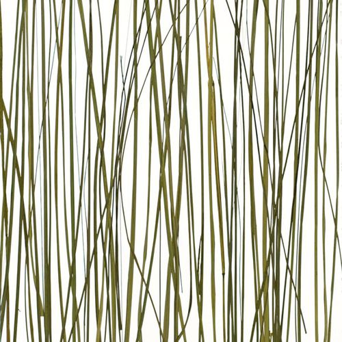 Pannello decorativo per interni - COASTAL - Lumicor - in resina / liscio / traslucido