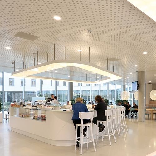 Controsoffitto in metallo - Luxalon® Planks - Hunter Douglas Architectural - a quadrotte / in pannelli / per ufficio