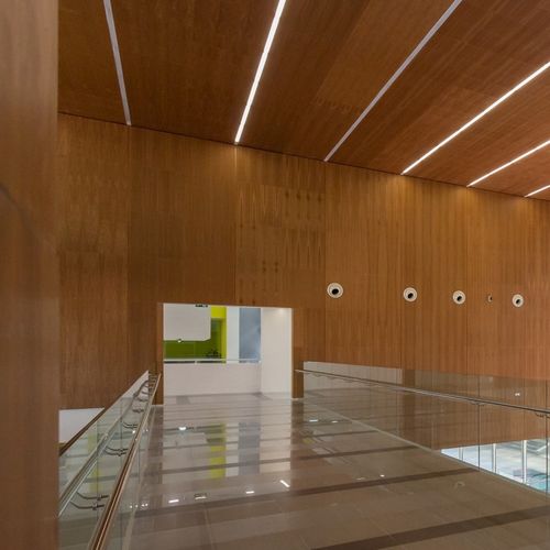 Rivestimento murale acustico - Derako® Veneered Panels Wall - Hunter Douglas Architectural - per interni / impiallacciato in legno / liscio