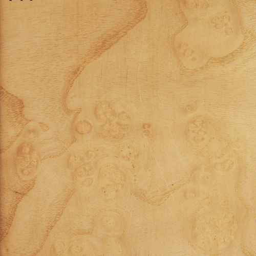Tranciato in legno - ASH BURL - Decospan - per mobile / in pannelli / per interni