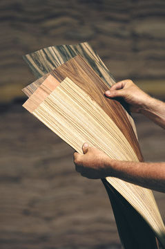 Tranciato in legno - DECOVENEER - Decospan