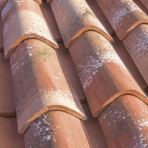 Tegola coppo - COPPO ALPINO - Gruppo Industriale Tegolaia - in terracotta