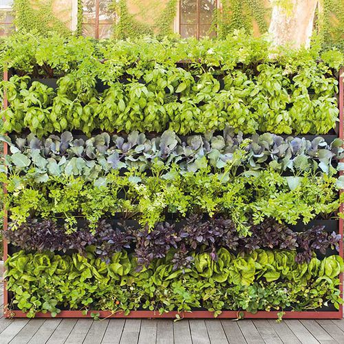 Graticolato in metallo verniciato - GREENERY - PAOLA LENTI