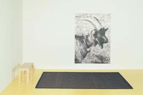 Tappeto contemporaneo - CAPRA - Ruckstuhl AG - a righe / a tinta unita / in sisal