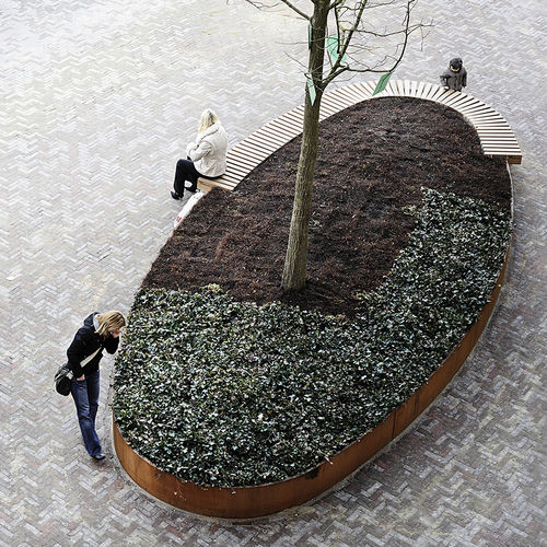 Fioriera in legno di latifoglie - ROUGH&READY OVAL TREE ISLES - Streetlife - in acciaio / ovale / su misura