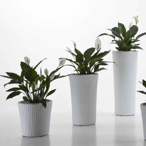 Vaso da giardino in polietilene - SYLOS - Dolcefarniente by DFN srl - conico