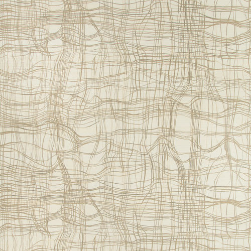 Carta da parati contemporanea - ENTANGLE - GP & J BAKER - in cotone / a motivi / aspetto tessuto