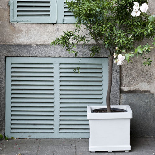 Vaso da giardino in polietilene a bassa densità LDPE - QUADRO LISCIO - SERRALUNGA - quadrato / per uso residenziale / bianco