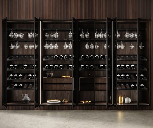 Cantinetta di invecchiamento - Elementi - SNAIDERO RINO SPA - da incasso / impiallacciata in legno / in metallo