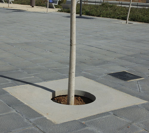 Griglia per alberi quadrata - ICARIA - Escofet - in calcestruzzo