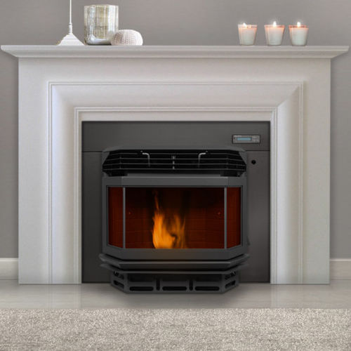 Stufa a pellet - ECO I  - ECOFOREST - 10 kW...20 kW / multicombustibile / da parete