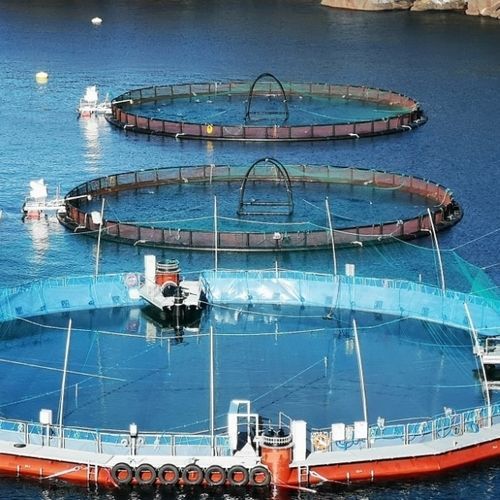 Geomembrana in composito - BIOBRANE AQUA 2050 - Serge Ferrari ARCHITECTURE - per vasca / impermeabilizzante / antistrappo