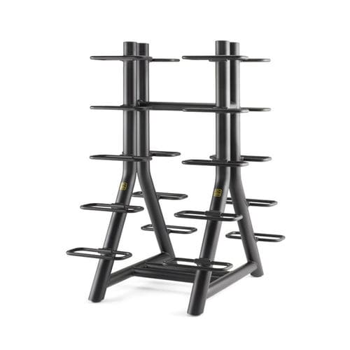 Spalliera svedese per attrezzature sportive - VERTICAL DUMBBELL - TECHNOGYM - per ginnasio