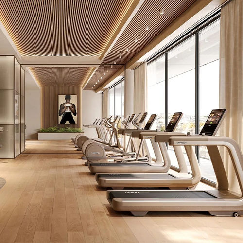 Tapis roulant programmabile - SAND STONE - TECHNOGYM - contract / per uso residenziale