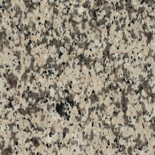 Lastra in pietra in granito - CREAM CARAMEL GRANITE - CUPA STONE - per pavimento / levigata