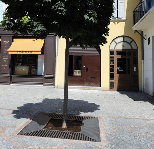 Griglia per alberi rotonda - SILAOS® - PROCITY - quadrata / in calcestruzzo / in acciaio