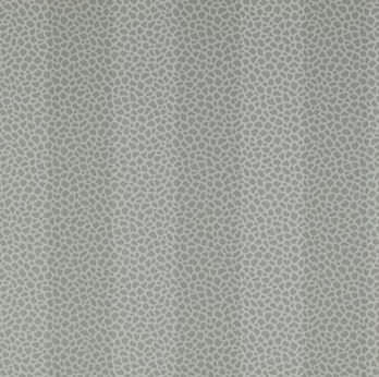 Carta da parati classica - WILDER STRIPE - Colefax & Fowler - a righe