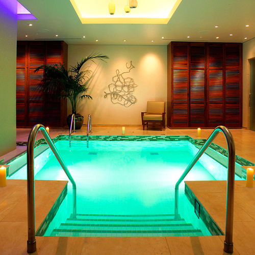 Piscina spa multiposto - VITALITY  - Bradford Products LLC - in acciaio inox / su misura / contract