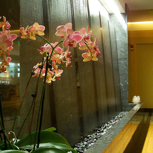 Muro d'acqua acciaio inossidabile - Bradford Products LLC