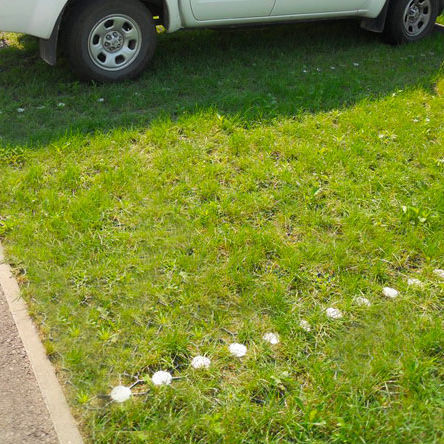 Griglia salvaprato in termoplastica - PARK - DALIFORM GROUP srl - in resina