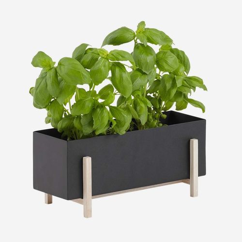 Vaso da giardino in metallo - BOTANIC - DESIGN HOUSE STOCKHOLM - in frassino / da appoggio / rettangolare