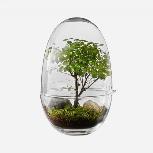Vaso contemporaneo - GROW - DESIGN HOUSE STOCKHOLM - in vetro / fatto a mano